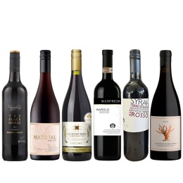 【ヴィノスやまざき】赤ワイン６本セット