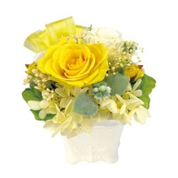 【アートプリントジャパン】プリザーブドフラワー/アイボリーベースS