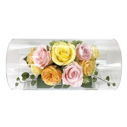 【アートプリントジャパン】プリザーブドフラワー/シリンダーM