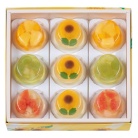 【鹿鳴館】ジュレドエテ9個入