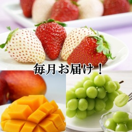 【フルーツなかむら】毎月お届け！選べるフルーツ頒布福袋