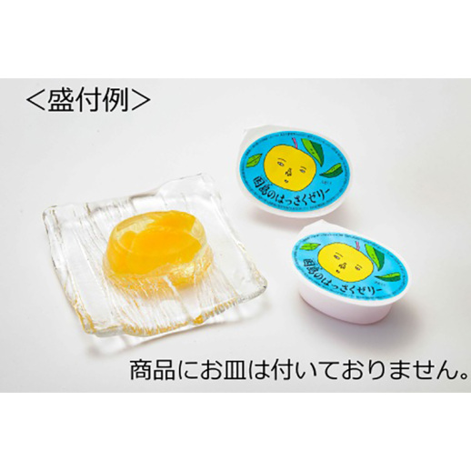 Ja尾道 因島のはっさくゼリー １２個入 福屋オンラインストア