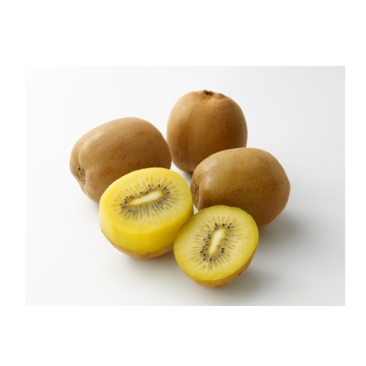 【香川県産】さぬきゴールド10玉(10月中旬頃～順次発送)