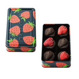 【太陽ノ塔洋菓子店】タイヨウノカンカン mini いちご缶 ショコラヴェール ビター（6粒）