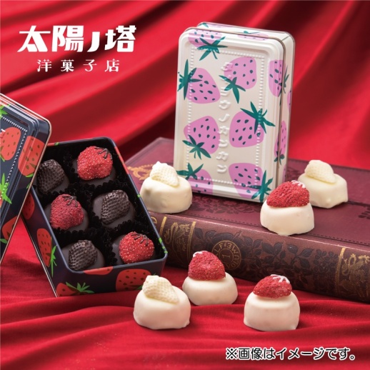 太陽ノ塔洋菓子店】タイヨウノカンカン mini いちご缶 ショコラ