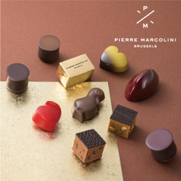 【ピエール マルコリーニ】セレクション 10個入