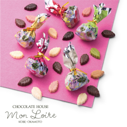 【モンロワール】リーフメモリーカラーボックス（15個入）