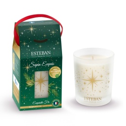 【ESTEBAN】ノエル2025　ノエルキャンドル