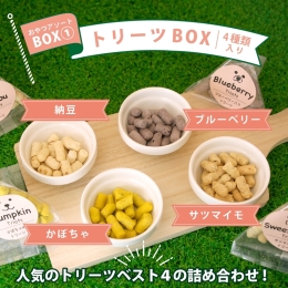 【受注生産】人気のおやつアソートBOX　①トリーツBOX<<Xmas限定パッケージ>>